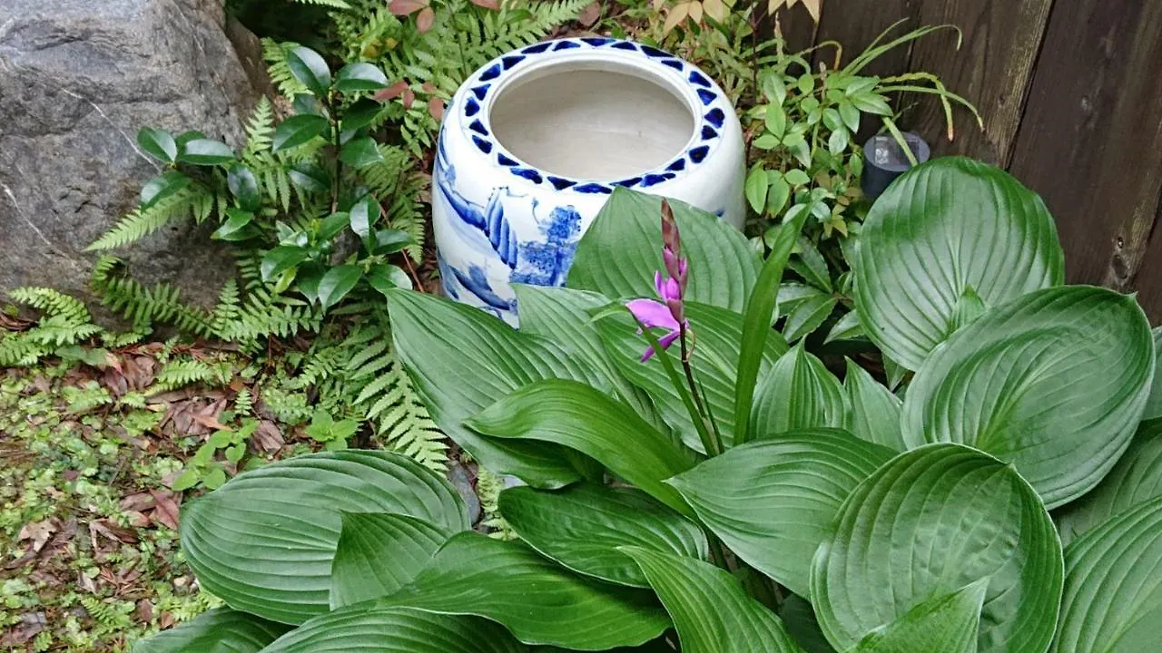 Guesthouse Tenkai 京都 度假居
